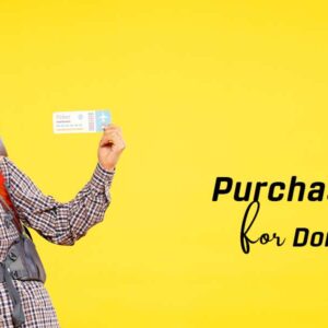 Domestic Flights in New Zealand