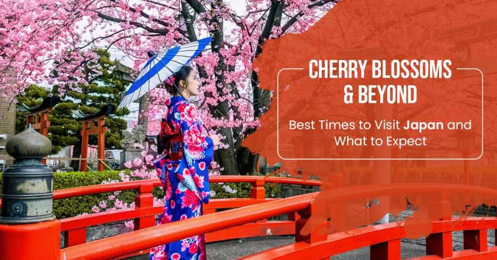 Cherry Blossoms and Beyond: Best Times to Visit Japan and What to Expect