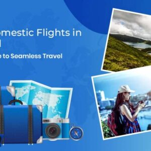 Domestic Flight in New Zealand